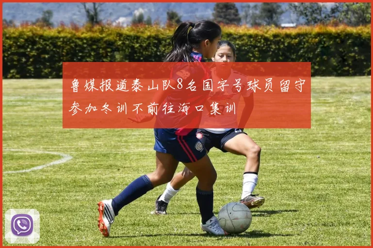 鲁媒报道泰山队8名国字号球员留守参加冬训不前往海口集训