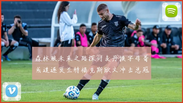 森林狼未来之路探讨麦丹换字母哥或追逐莫兰特福克斯欧文冲击总冠军