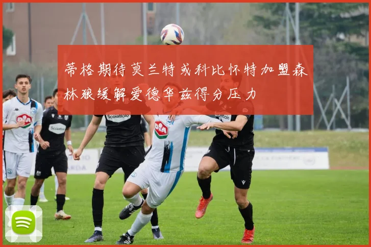 蒂格期待莫兰特或科比怀特加盟森林狼缓解爱德华兹得分压力